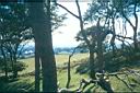 TN_view_wood_st_gybi.JPG