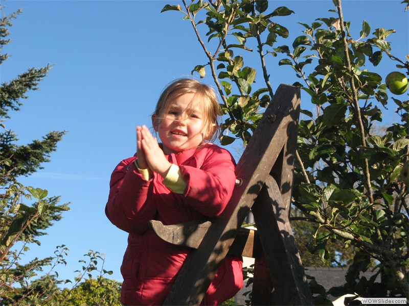 Apple picking