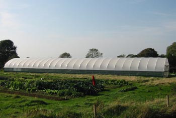 completed polytunnel