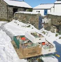 boxes ready for customers  - in the snow